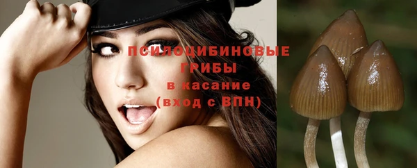 герыч Майский