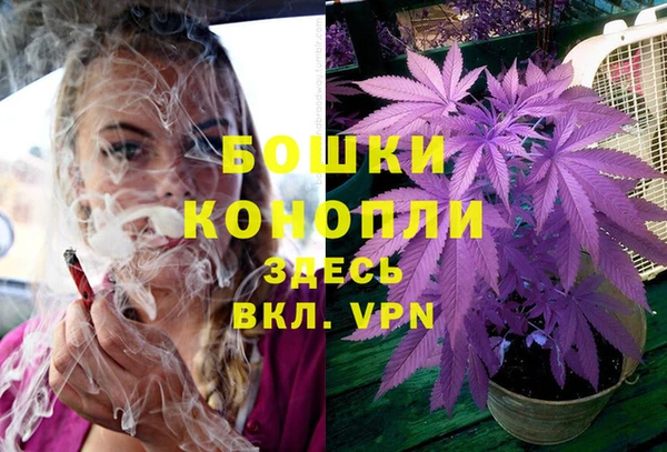 прущая мука Мегион