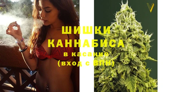 прущие крисы Магас