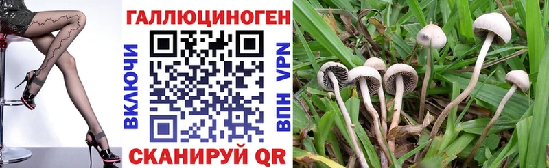 наркотики  Кондопога  Галлюциногенные грибы ЛСД 