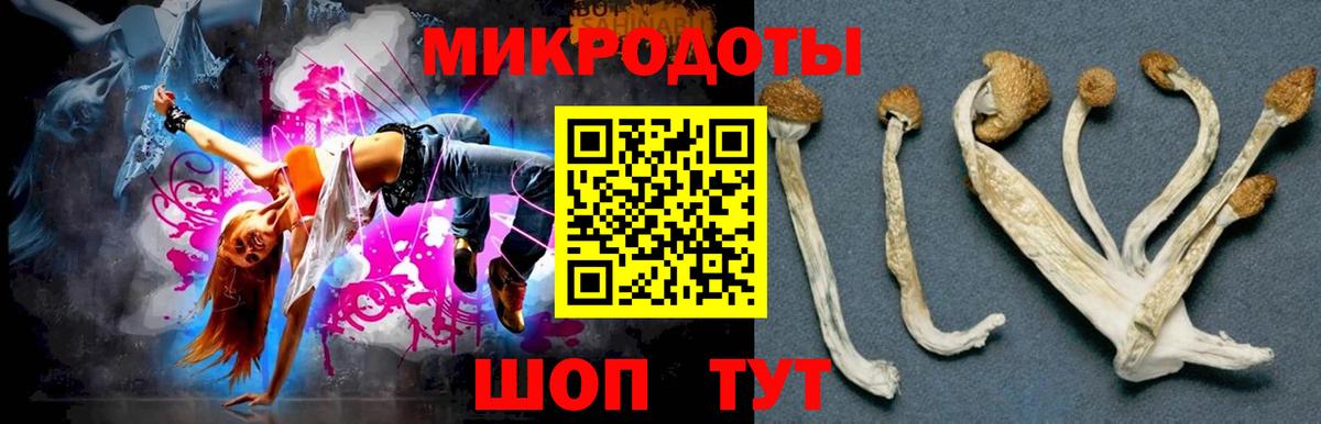 Галлюциногенные грибы мухоморы Кондопога