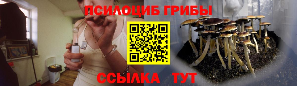 Псилоцибиновые грибы мицелий  Вход с VPN  Кондопога  Псилоцибиновые грибы прущие грибы 